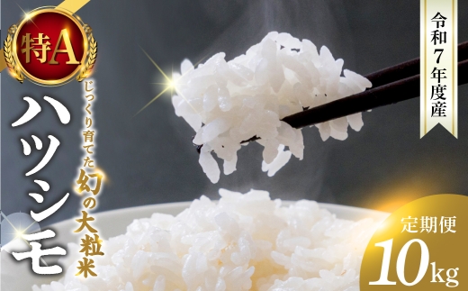 y򕌌_szVāߘa7NxY  ncV 10kg 3  v30kg ?̓s_̖LxȗNň ? V ͂   lC  Zn RVqJ̐y DIB