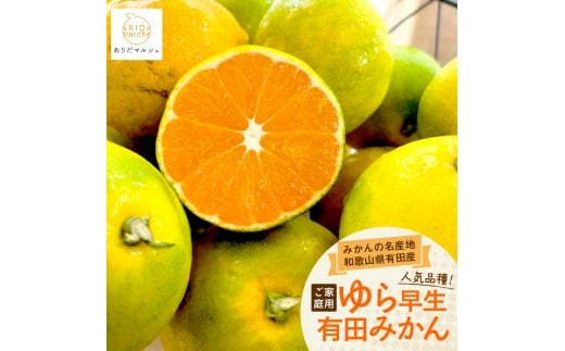 ya̎RxRzss\E2026N10`tƒp瑁 Lc݂ 10kgm󂠂nmMS28n