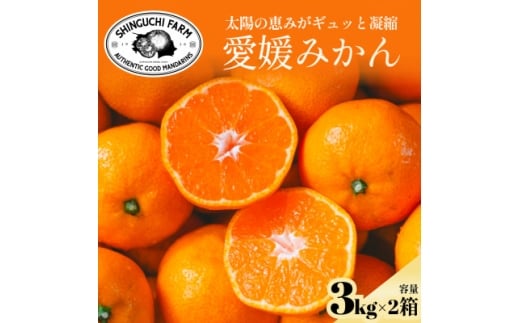 yQlszz̎|݂MbƋÏkQ݂3kg×2 _ƒ QYD70-32y1536240z