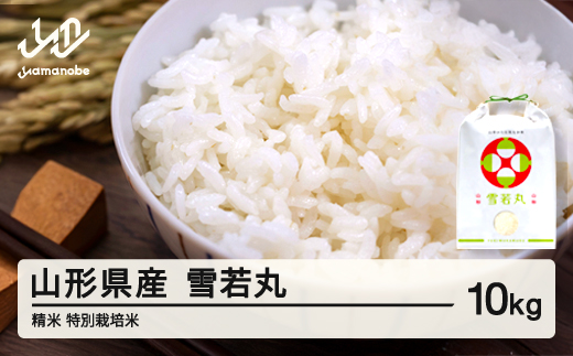 yR`RӒz   10kg 2O ʍ͔| ߘa7NY 2025NY R`Y Eւ̔zs on-ywxxb10-2f