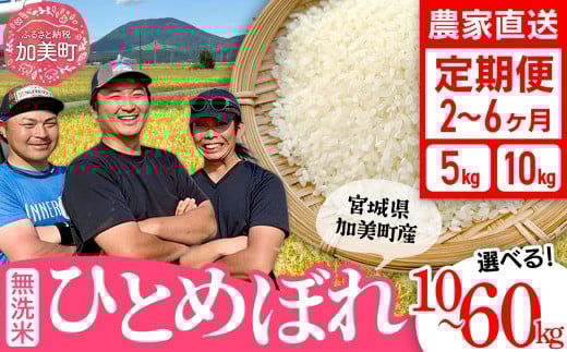 y{錧zyāzyIׂz񐔁z  {錧Y ЂƂ߂ڂ 5kg 10kg  s ߘa7NY V t    ͂ R    ƒp St@[ [ {錧 