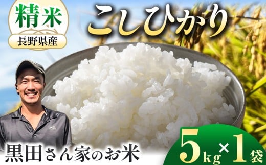 y쌧{szucƂ̂āv쌧{YЂ  5kg×1 |  Y  {s  ӂ邳Ɣ[ MB  1   {Y ӂ 