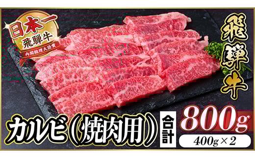 y򕌌Hszˋ@IJr(ēEBBQp) 800g(400g×2)@A4`A5@y1543784z