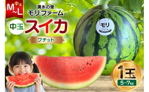 y茧szAJ459 yߘa8Nxoוz N̗ t@[ ʃXCJ v`bg M`L 5`7kg 1  [ s\ ʌ  XCJ Z t[c ʕ  茧 s ]