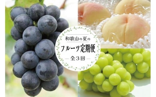 ya̎R쒬z֑S3 y7E8E9z a̎R̃t[c͂iE˂ȂsI[lEVC}XJbgjyTM180z