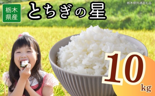 yȖ،szȖ،YƂ̐ 10kg | 2025N 2025N ߘa7N H  ͂   lC  | ɂ ނ ٓ  Ȗ،ʕԗi Ȗ، s 