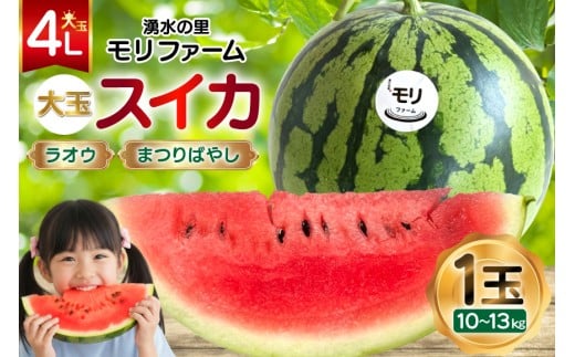 y茧szAJ456 yߘa8Nxoוz N̗ t@[ ʃXCJ IE ܂΂₵ 4L 10`13kg 1 [ s\ ʌ  XCJ Z t[c ʕ  茧 s