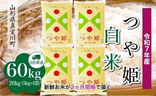 yR`^쒬zߘa7NYā ʍ͔| P yāz  60kg i20kg×QԊu3񂨓͂jzw@R`^쒬