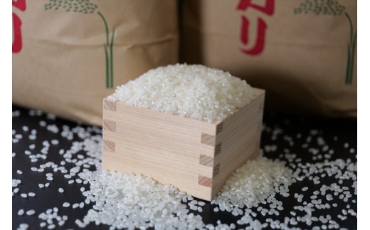 yɌOgszʍ͔|  5kg x 1