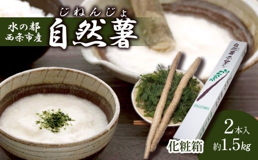 yQszRuv 1.5sZbg y12{`3zb R Ƃ ˂񂶂 R ܂  N Y Q s yICόz