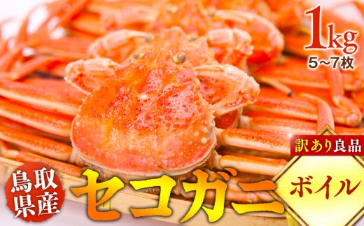 y挧khzy{Cz挧Y@ZRKj@󂠂Ǖi@1g(5`7)s Jj I ZRKjt2025/11/6`2025/12/25ɏ\聦ws  sikCA{͔z