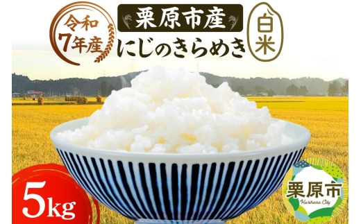 y{錧Iszsߘa7NYtyāzIsY ɂ̂߂ 5kg  uh V_Y {錧 Is