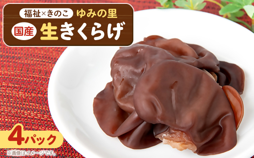 ytَRsz_AgtَRY 炰100g×4pbN AJpxA/B^pƏu݂̗vy1486711z