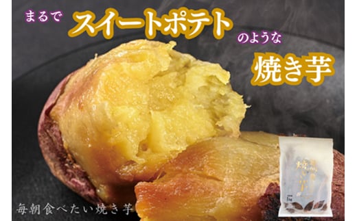 y򕌌HszHׂĂ@2Kgy1670921z