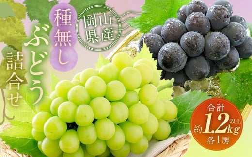 yRދ`z햳Ԃǂ l 2[ iv1.2kgȏj iVC}XJbg ^ j[sI[lj y2026N9{`10{ \z }XJbg  Ԃǂ uhE 嗱 Ȃ 