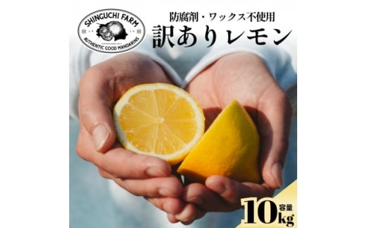 yQlszžb݂MbƋÏk󂠂 Q10kg h܁EbNXsgpF70-23y1470681z