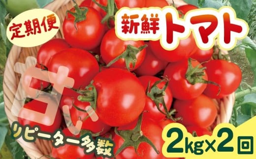 ymczcY VNg}g 2kg  2 ̂ꂽ VN g}g 2kg 2 2  _ƒ Â Z  n Y 퉷  y m c TR-23