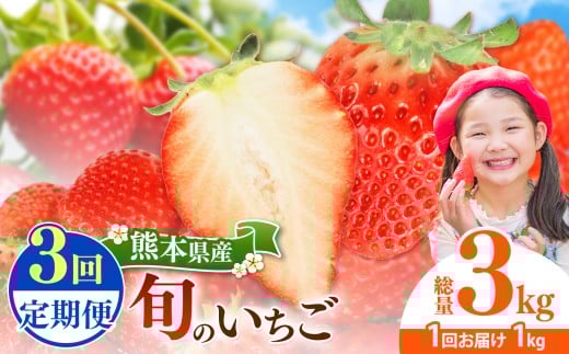 yF{ʖszy3z {̂ 1000gb ʕ  t[c   C`S  F{ ʖs