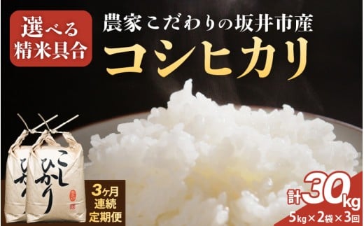 y䌧sz 3A͂yߘa7NYz _Ƃ̍sY RVqJ 10kg (5kg×2) ×3 (v30kg) yIׂ鐸ċF / āz y R  5L Ђ