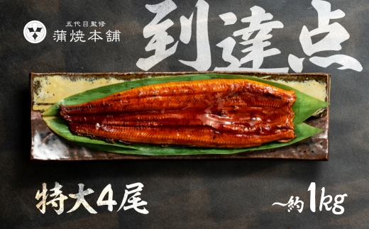 ymLszyN͂z TCY YȂ ā 4  lߍ킹  EiM 2 4 6 Ȃ V EiM unagi yp N̓ Y YȂ ႤȂ JliJ Ȃ̃J