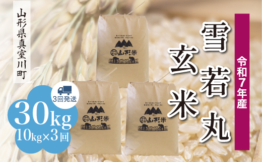 yR`^쒬zߘa7NYā  yāz 30kg i10kg×3񔭑jzw@R`^쒬