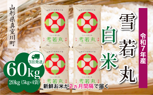 yR`^쒬zߘa7NYā  yāz  60kg i20kg×QԊu3񂨓͂jzw@R`^쒬