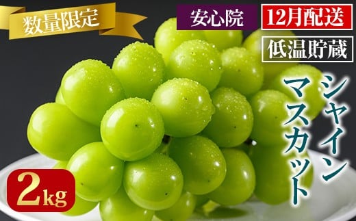 y啪FszVC}XJbg(2kg)VC}XJbg Ԃǂ  t[c ʕ  ʎs\t 2025N12{珇\聄kC  zs