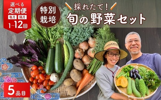 yʌvsz{̖؃Zbg 5i ʍ͔| Iׂ  | {  lߍ킹  ܂ lߍ킹 VN G t Ė H t  Gߌ nY  _ _