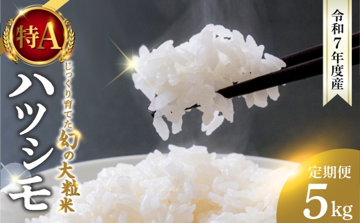 y򕌌_szVāߘa7NxY  ncV 10kg ?̓s_̖LxȗNň ? V ͂   lC  Zn RVqJ̐y DIB 򕌌 _s