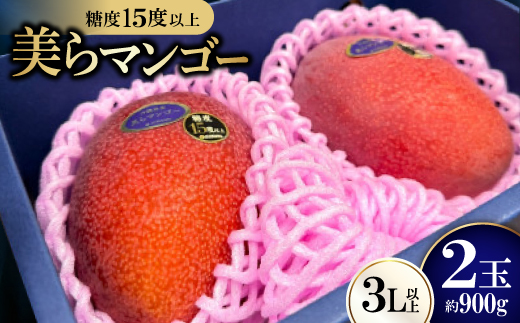 yꌧ鑺z2026N6珇Eʌ聄x15xȏIʂu}S[v900g(2)y1681771z