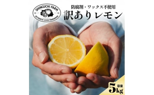 yQlszžb݂MbƋÏk󂠂 Q5kg h܁EbNXsgpC70-22y1470676z