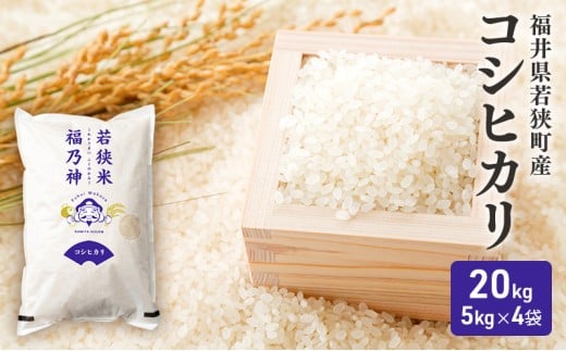 y䌧ዷzߘa7NY 䌧ዷ RVqJ iꓙāj 20kgi_J_j 5kg×4  uh   ɂ ٓ Yn aH H [5580-0843]