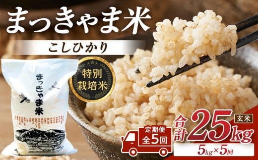 yΐ쌧sz i^S5jyāzց@ʍ͔| ΐ쌧YЂIcāh܂ܕāh   | s    Hi  RVqJ ӂ邳Ɣ[ Ēʔ  