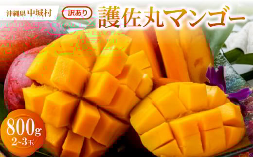 yꌧ鑺z2026N6{珇E󂠂聄썲ۃ}S[800g(2`3)y1681753z