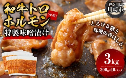 y_ސ쌧szAagz@XЂ@3kg(300g×10j