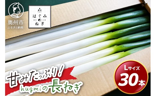 y茧Bszhugmi̒˂ 3kg LTCY BsY Â݂Ղ ~˂ ~ NHi VN  Hi ①z Ԍ zs 茧 Bs [BJ010]