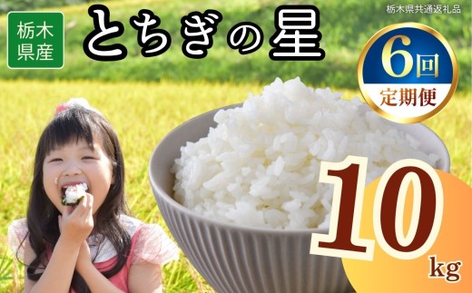 yȖ،szy6zȖ،YƂ̐ 10kg | 2025N 2025N ߘa7N H  ͂   lC  | ɂ ނ ٓ  Ȗ،ʕԗi Ȗ،