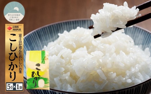 yRjzRVqJ 5L 1 / Y Ђ  5L ߘa7N V   ۑ Ki Mtg 蕨 Ε ӂ邳Ɣ[ yn0663-05_nskz