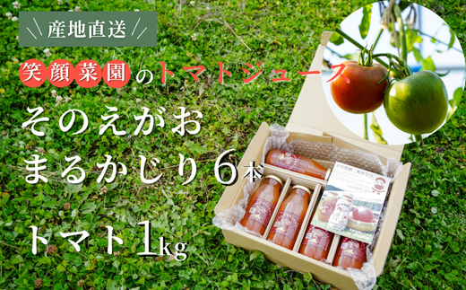 ykClzΊ؉Ђ܂̗~Zbg 1Zbg(g}g1sEg}gW[X6{) | VN {̖ wV[ N x   e Rs ~l N  Mtg 蕨