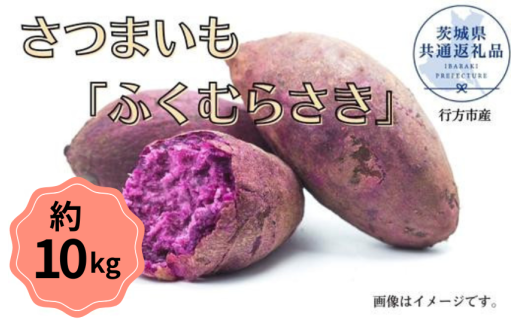 y錧gcszy2025NYz܂uӂނ炳v10kgi錧ʕԗi^ssYj