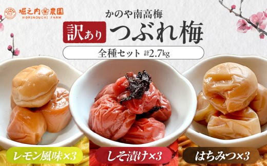 ysz2587 󂠂聄 Ԃ~ ~ ̂썂~ Hה E  i݂͂~E~Ej 3 ×e3܁@KN033-007-02