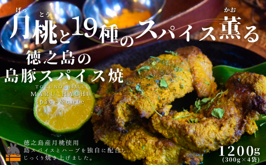 yVz2494 iƂj19̃XpCXO V̓؃XpCX 1,200g ( MARUHACHI XpCX n[u   ؓ  ⓀHi V   )