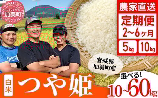 y{錧zyIׂz񐔁z  P 5kg 10kg ցs ߘa7NY V t {錧Y    ͂ R    ƒp St@[ [ {錧  ]   [yu-th-r7-t-o