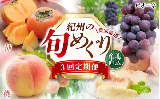 ya̎RI쒬zyS3zIBa̎RY{̃t[c (EsI[lEЂ炽˂Ȃ`)ytkb371z