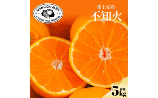 yQlsz㊮nsm(fR)5kgwÂ݂ƒ悢_̃oX▭xD70-30y1470653z