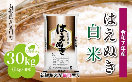 yR`^쒬zߘa7NYā ͂ʂ yāz  30kg i5kg×1Ԋu6񂨓͂jzw@R`^쒬