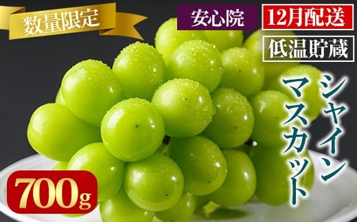 y啪FszVC}XJbg(700g)VC}XJbg Ԃǂ  t[c ʕ  ʎs\t 2025N12{珇\聄kC  zs