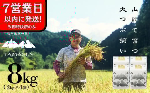 y򕌌Csz[yߘa7NYāz炢 R (̂̈) 2kg×4 炢 CsRY 8L   2025NY    ̂̂ ܂