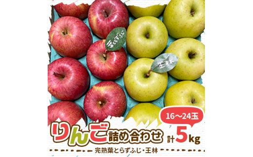 yXXsz2025NY ntƂ炸ӂEыlߍ킹 5kg (16`24)y1181953z