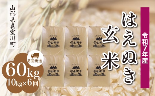 yR`^쒬zߘa7NYā ͂ʂ yāz 60kg i10kg×6񔭑jzw@R`^쒬